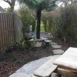 Grote Boomvaren (Dicksonia Antarctica) -Aanbiedingen Hortus Groei Winkel dicksonia antartica 1 1