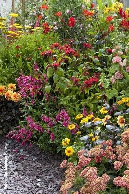 Borderpakket Bonte Border 1 Borderpakket Bonte Border