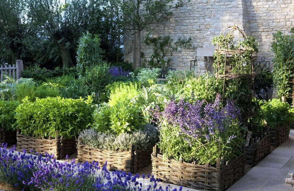 Borderpakket Kruidentuin (4 M²) 1 Borderpakket Kruidentuin (4 M²)