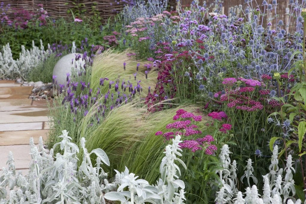 Borderpakket Roze En Blauw 1 Borderpakket Roze En Blauw