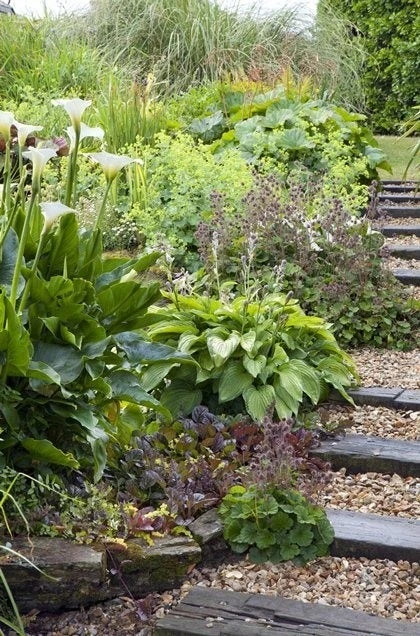 Borderpakket Natte Border 1 Borderpakket Natte Border