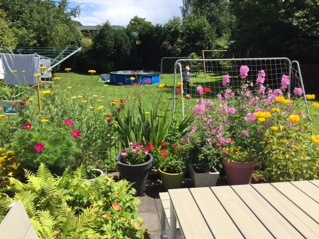 Borderpakket Bonte Border 2 Borderpakket Bonte Border - Afbeelding 2