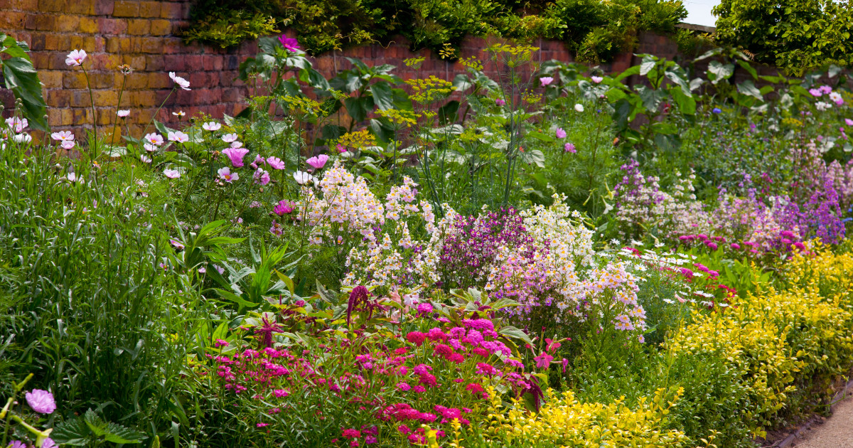 Aanbiedingen Hortus Groei Winkel -Aanbiedingen Hortus Groei Winkel shutterstock 86572714